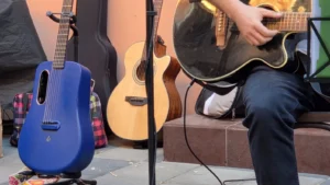 Folkové prieniky — Koncert piesní vybraných autorov